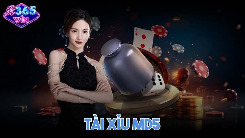Ảnh đại diện Tài xỉu MD5